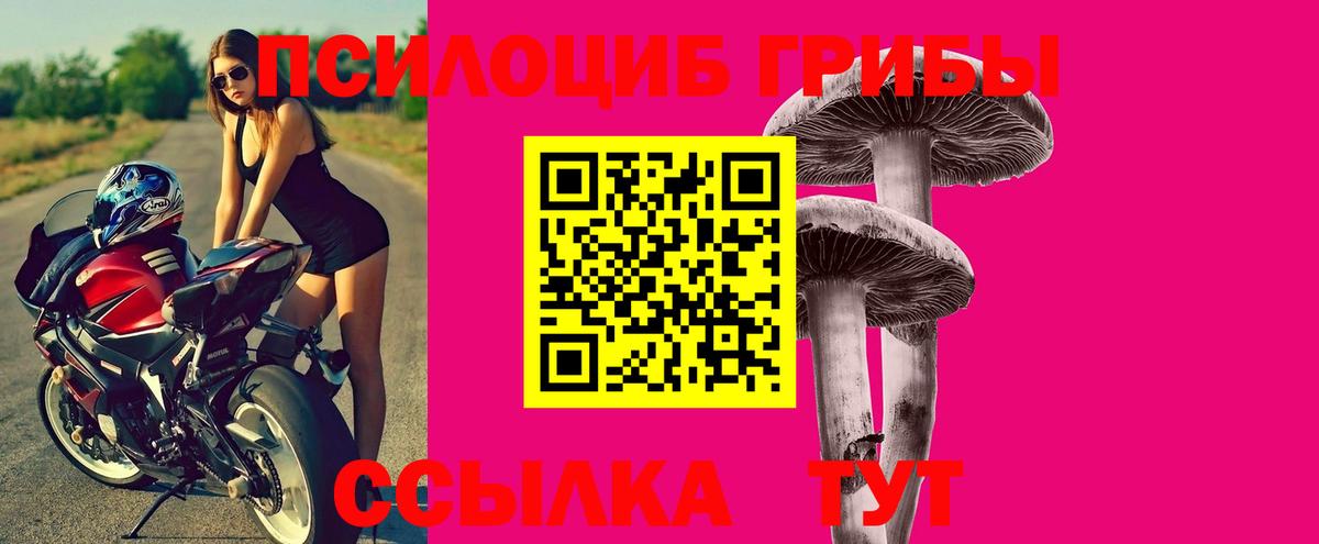 Псилоцибиновые грибы Psilocybe  Вход с VPN  Анапа 